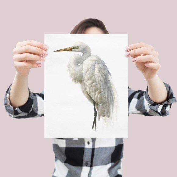 Watercolor White Heron Portrait Wall Art Print Poster, Unframed - Picture 4 of 6